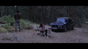 LOS DINOSAURIOS YA NO VIVEN AQUÍ